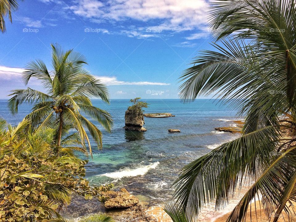 Scenic view of beach