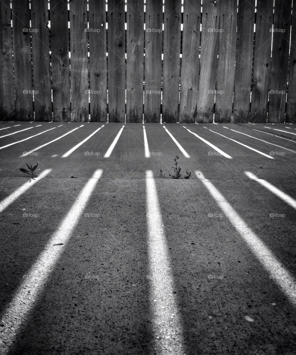 Fence Shadows