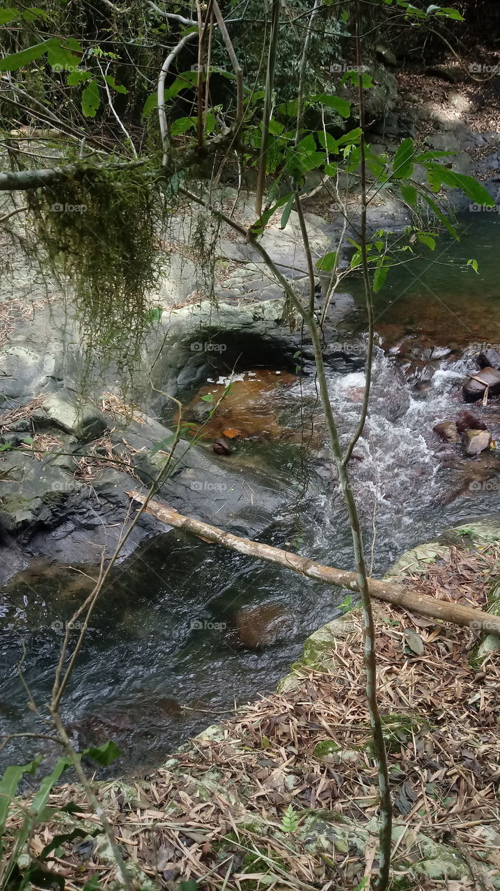 RIACHO ÁGUA FLORESTA PEDRAS