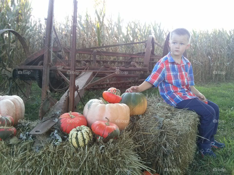 Pumpkin Picker