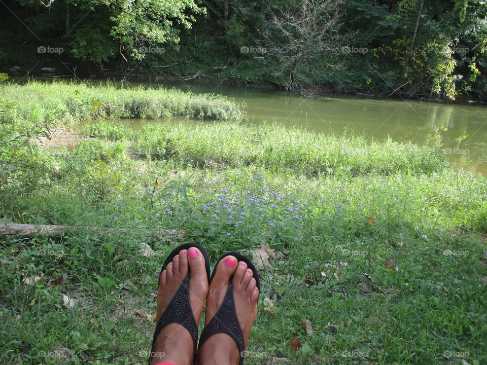 Overlooking the calm waters.