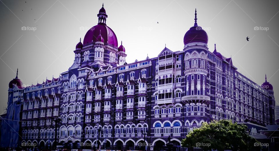 tajmahal hotels of India
