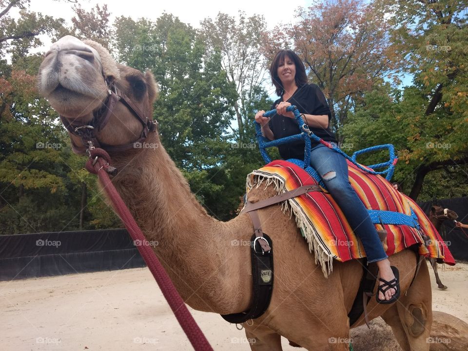 I finally got to go on a camel ride😆