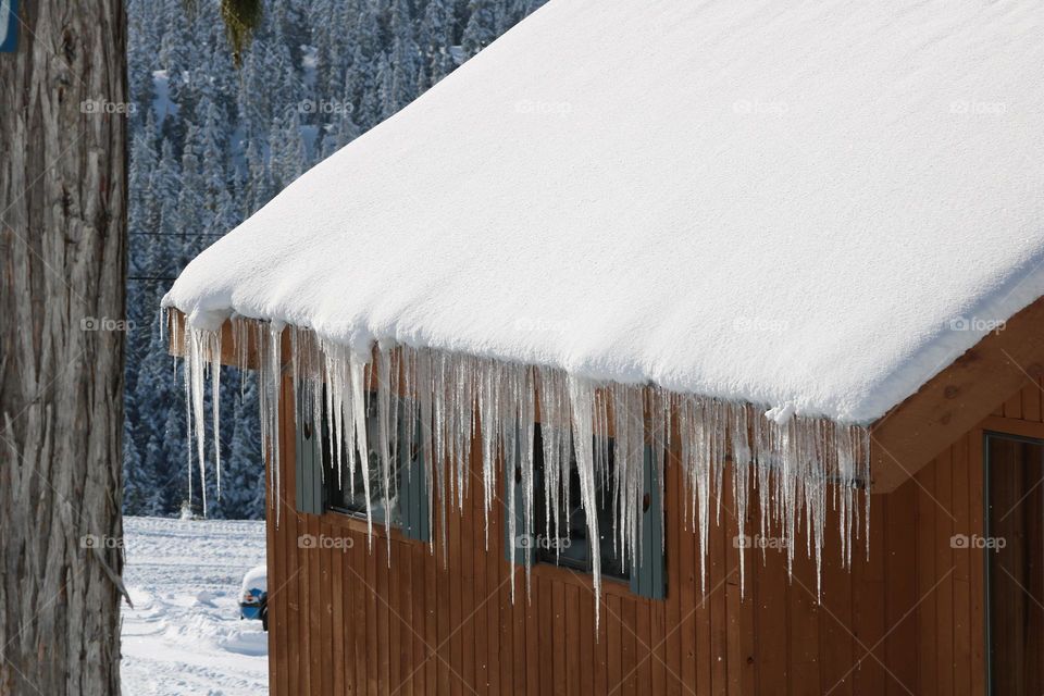 Icicles hanging down the roof