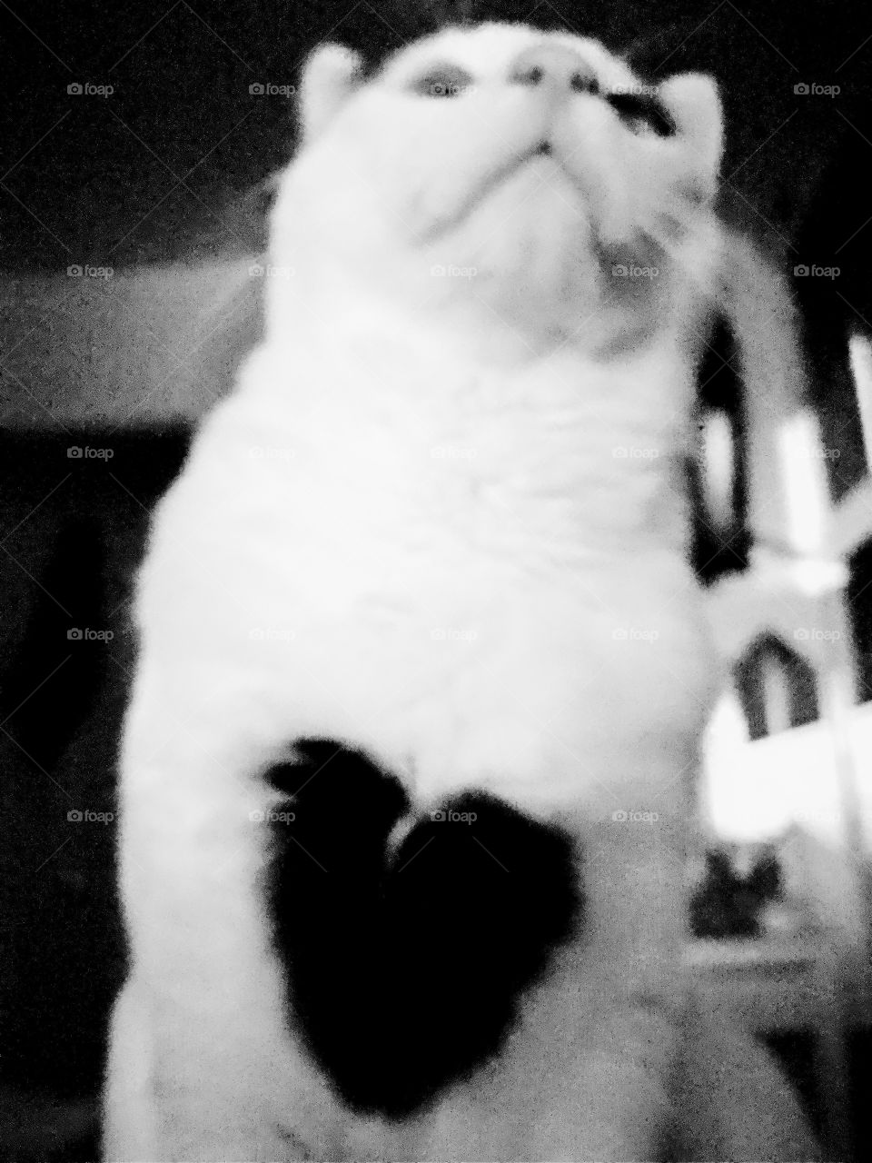 Hearts ❤️ Syncronicities