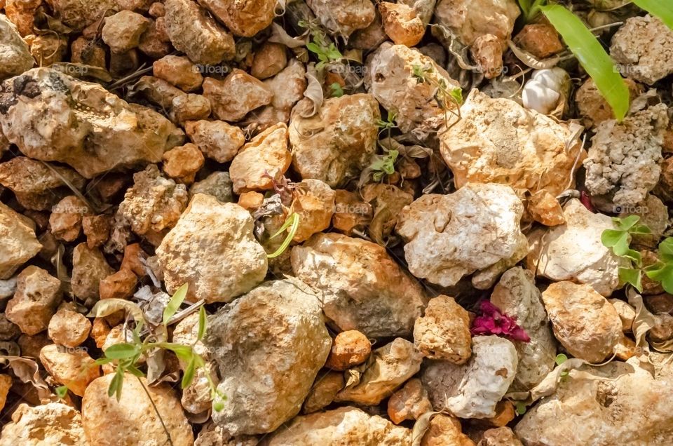 Stones On The Ground