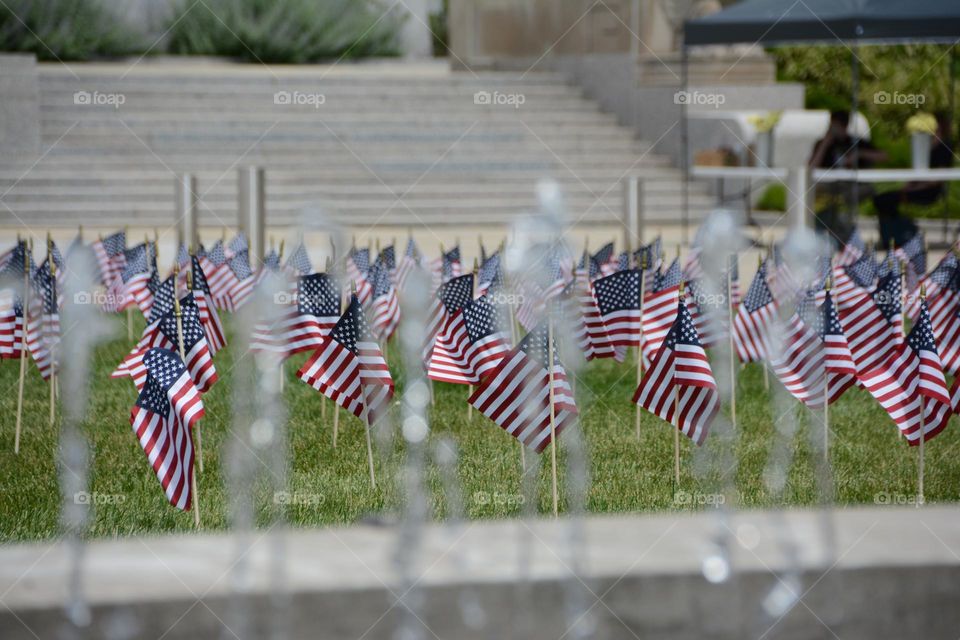 American flags at the park