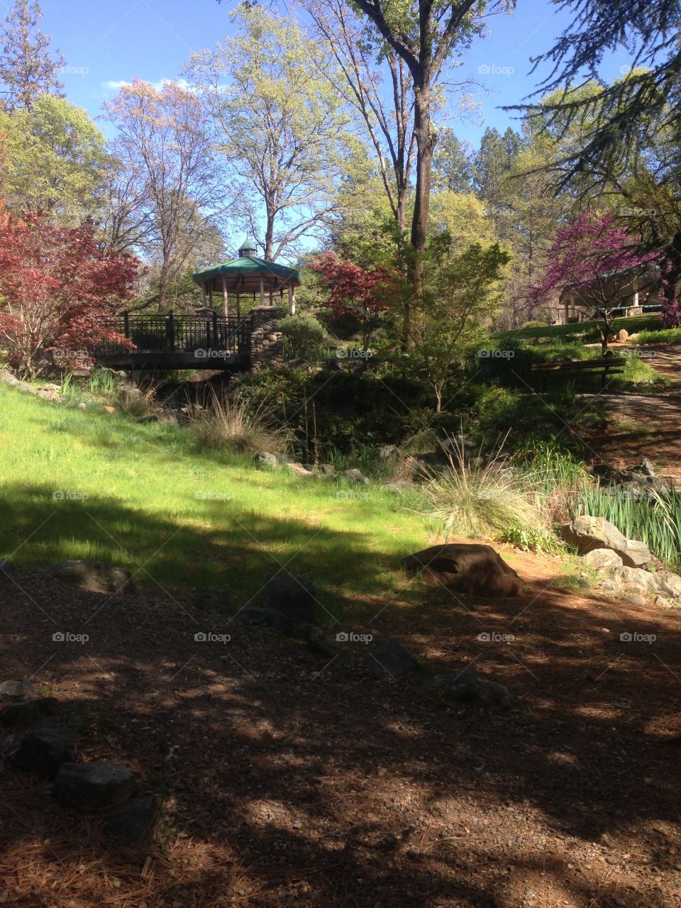 A beautiful garden in a colorful world. 