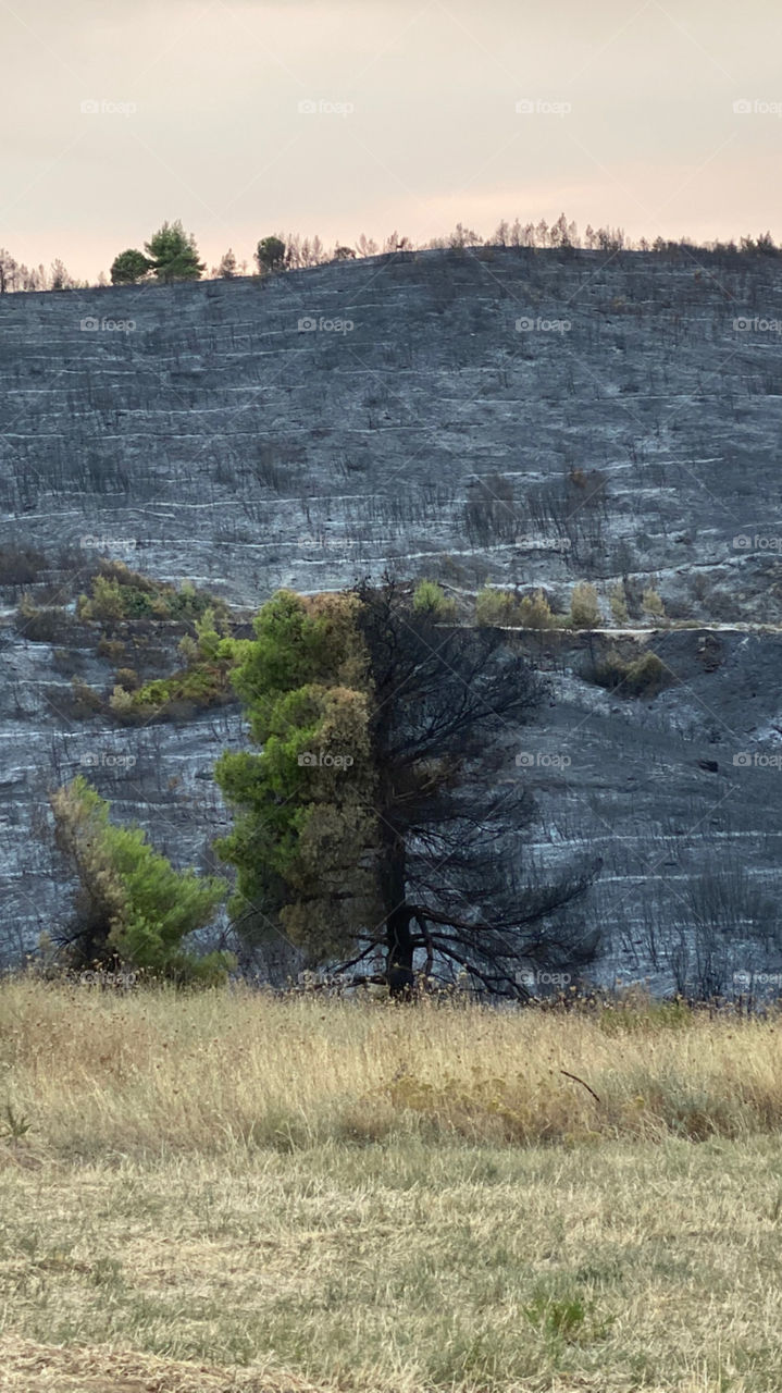 Wildfires - Greece, 2021