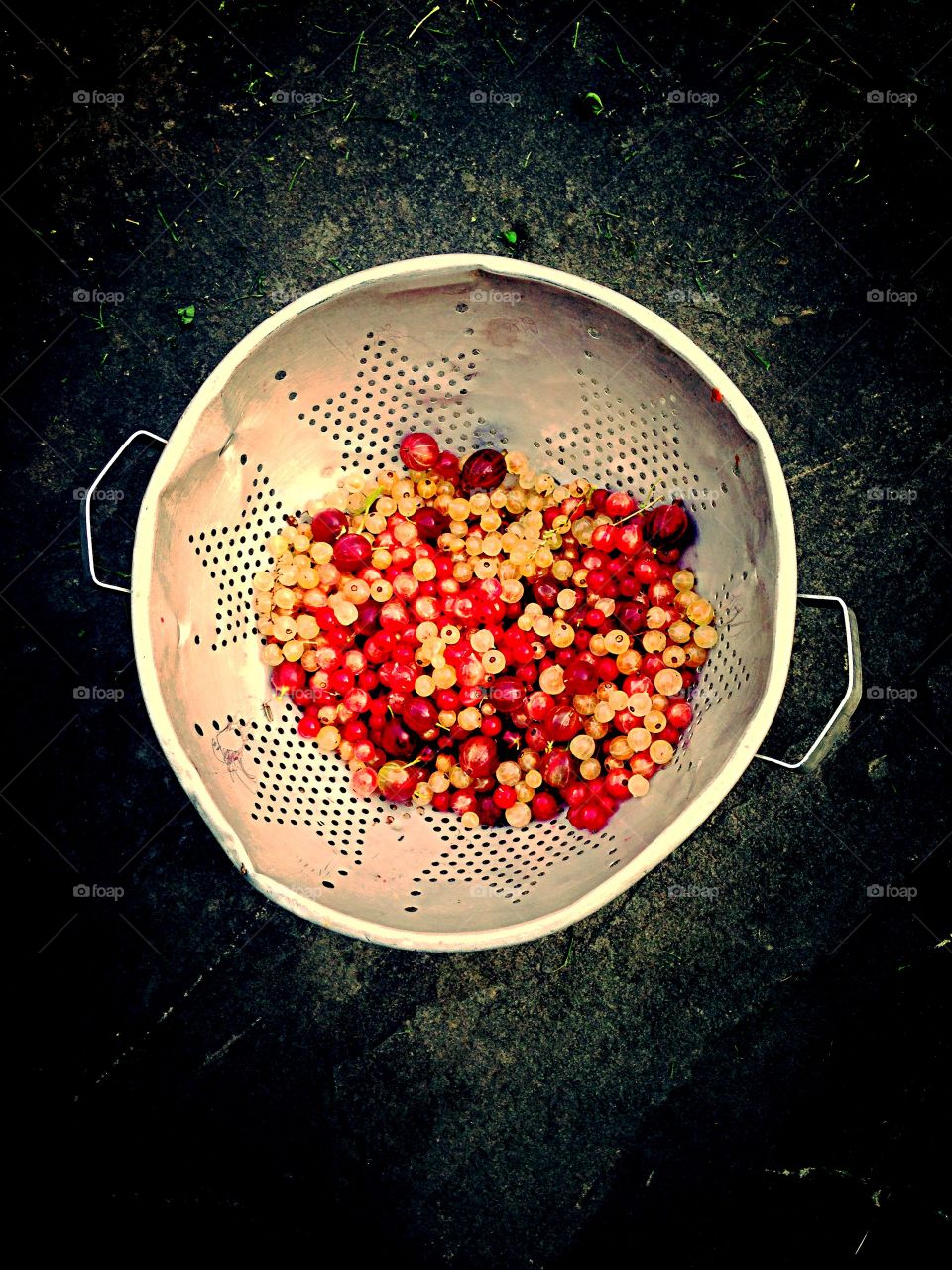 Summer Fruit. Berries just picked from garden