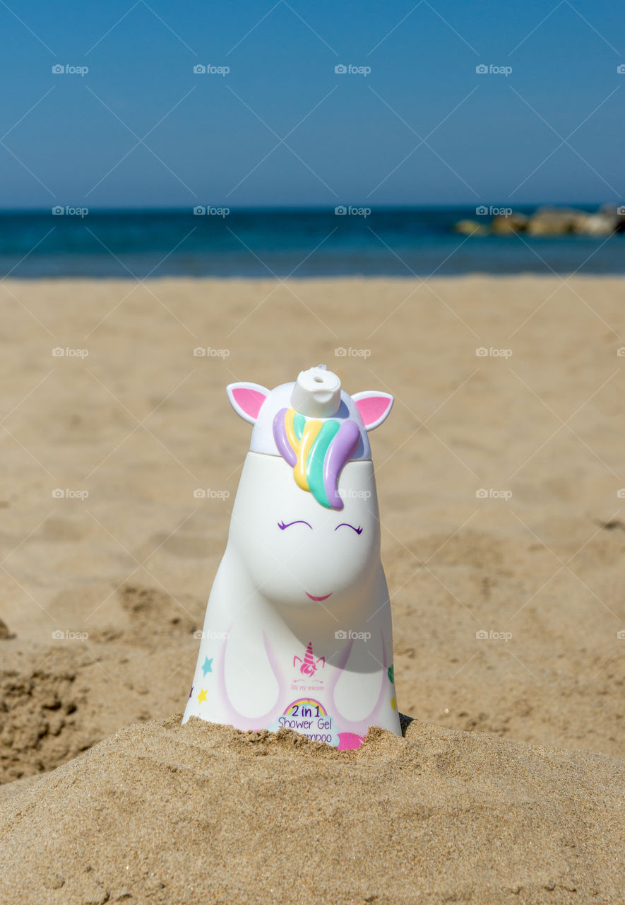 unicorn in the sand