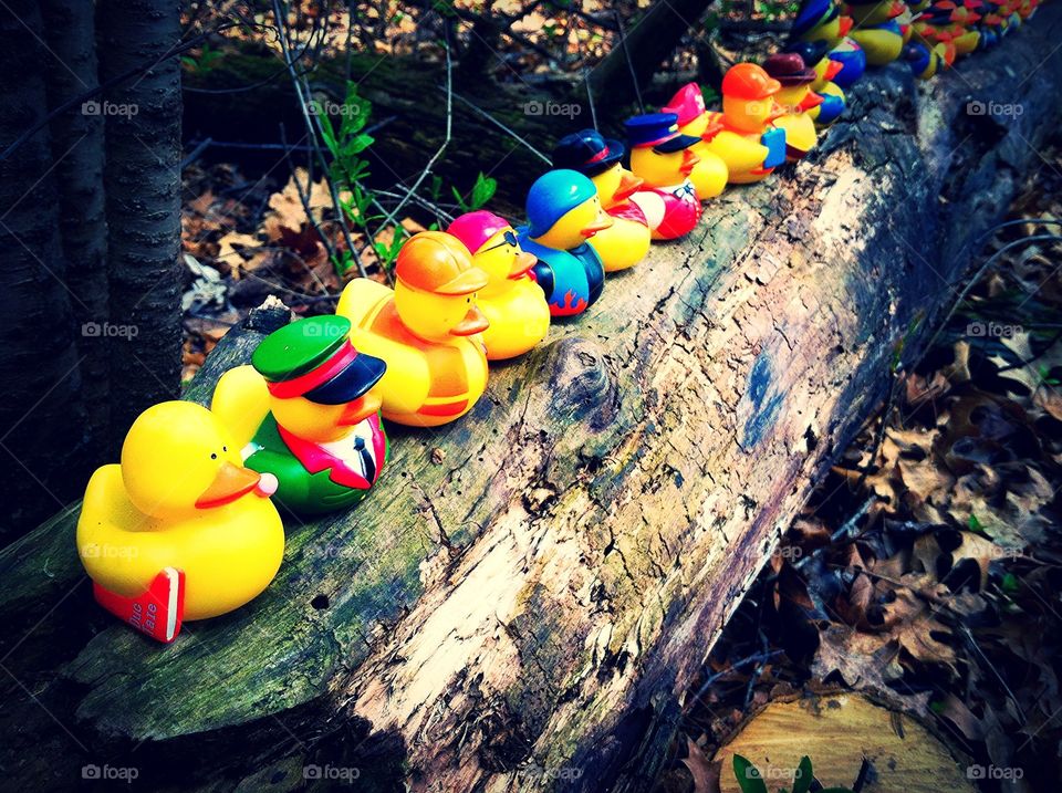 Ducks in a Row