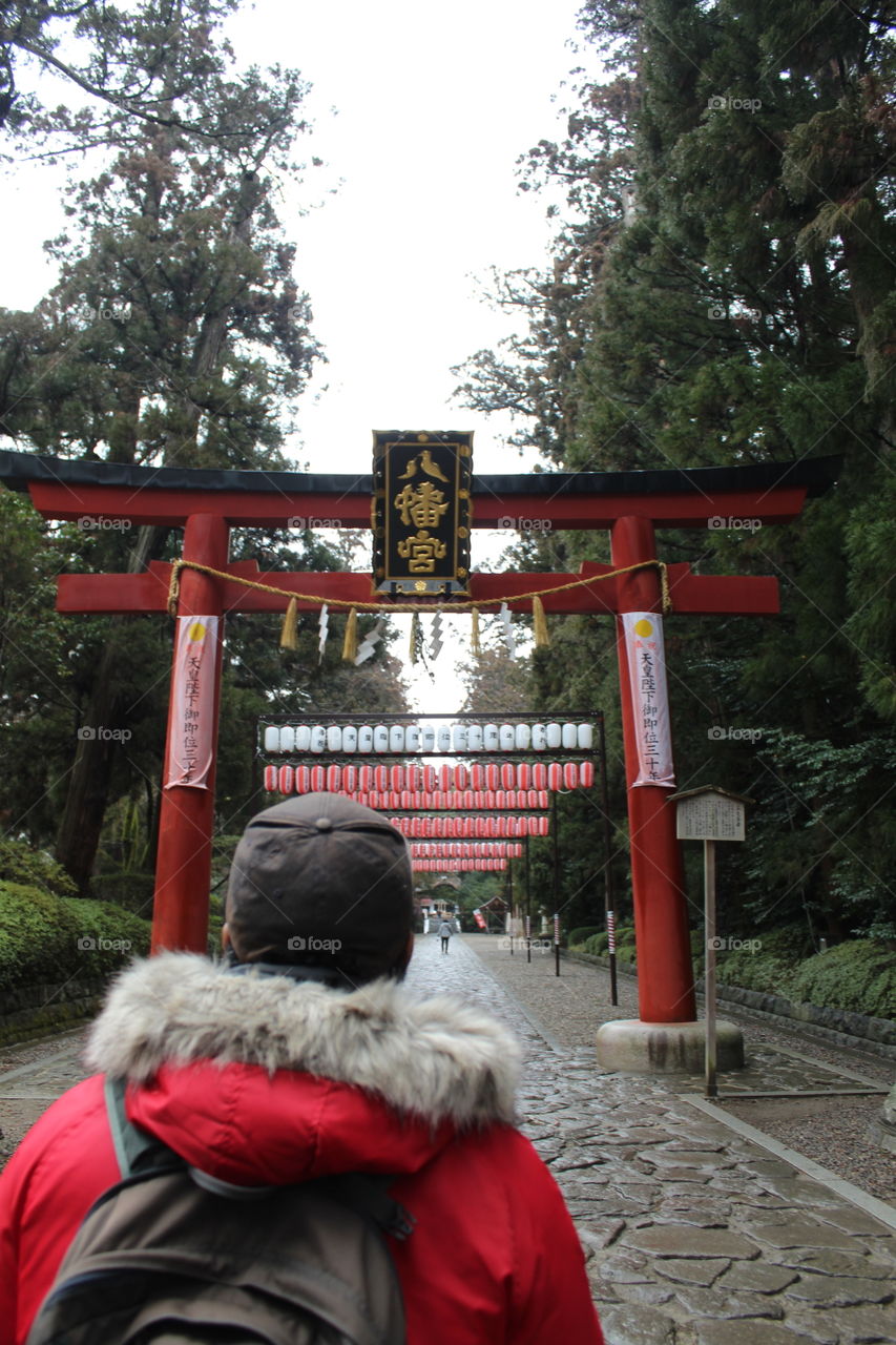 Peaceful Osaki Hachimangu Shrine in Winter