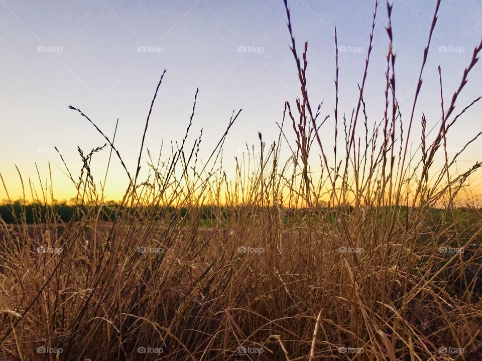 Let the reflections of the sunset covers the land and the shadows of things appears. 