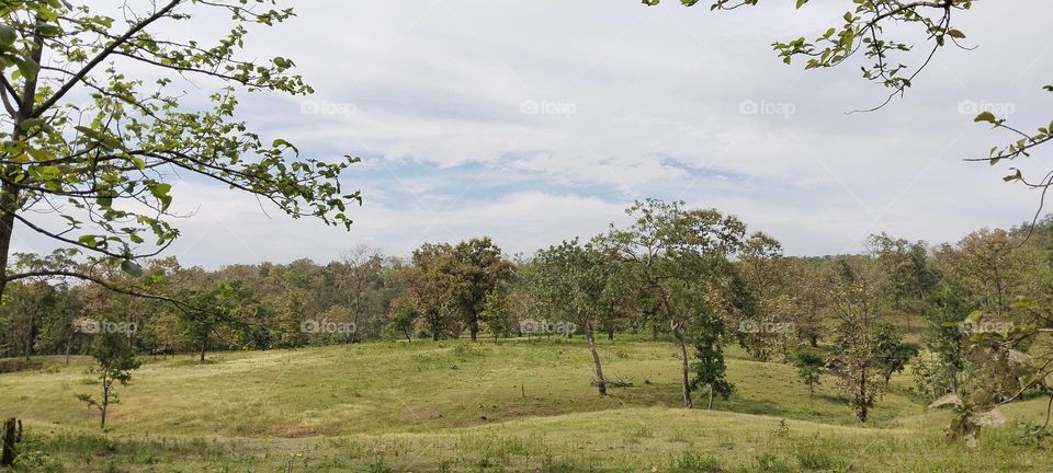 nature photography river