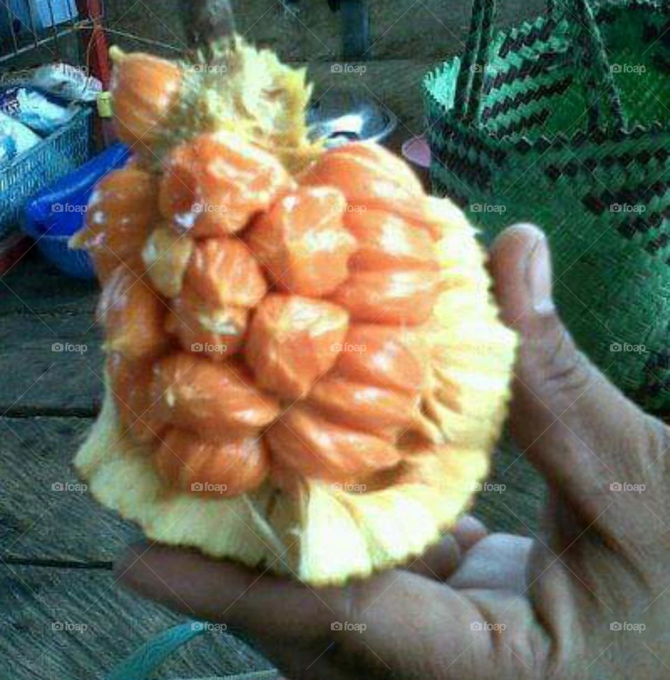 native fruit of Borneo
