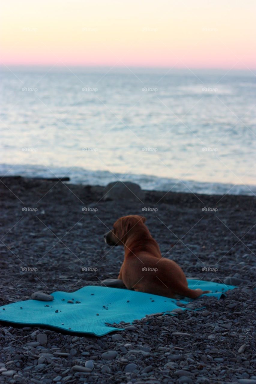 Beach, Water, Sea, No Person, Ocean