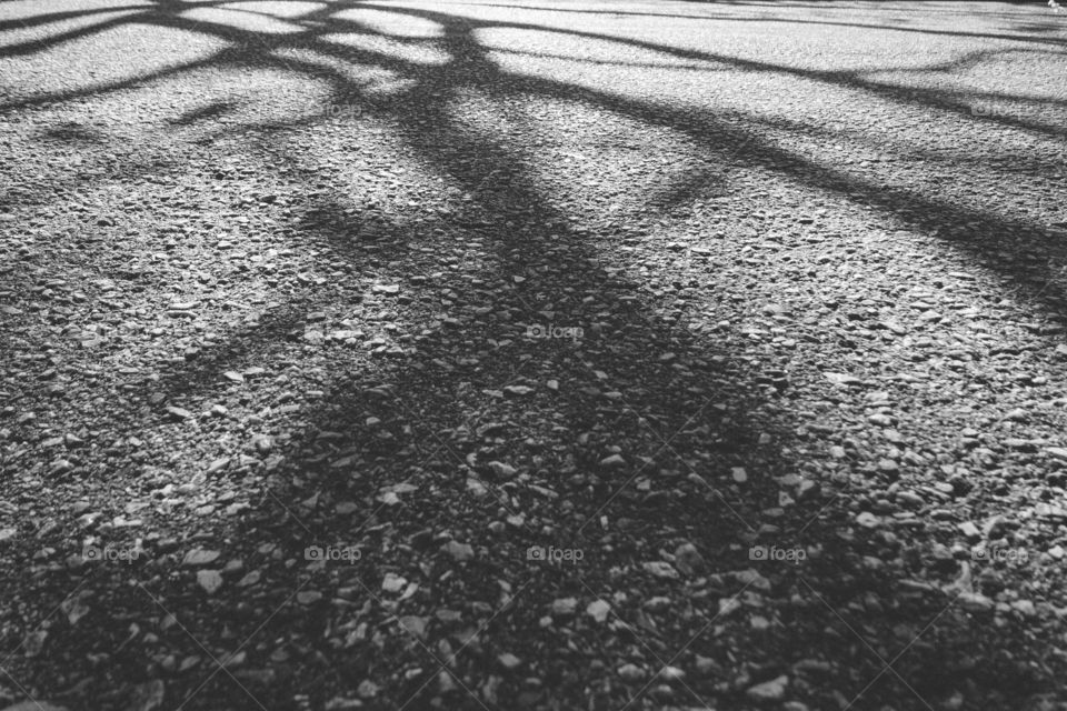 Shadow on the road