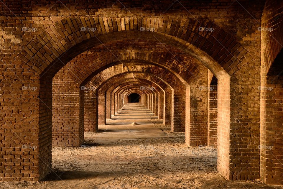 In the dry Tortugas