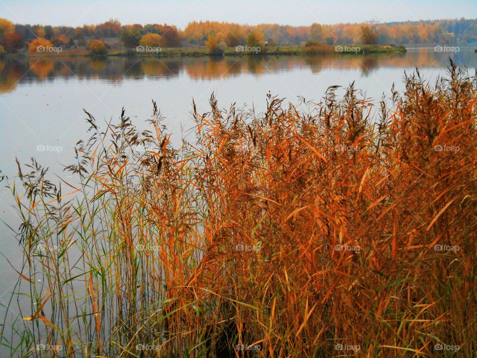 autumn lake