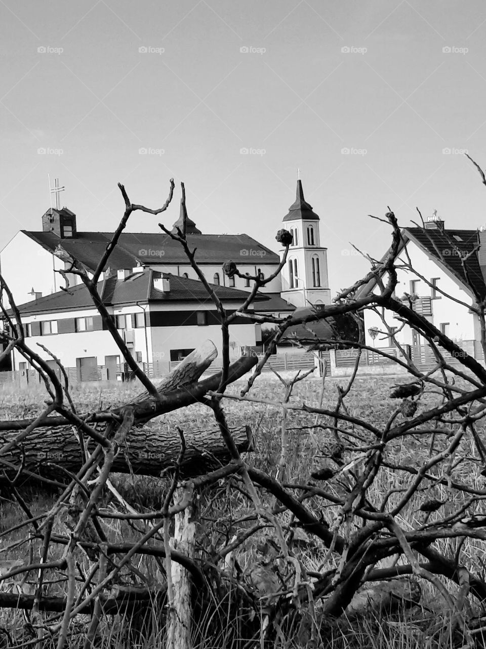 local church seen trough branches