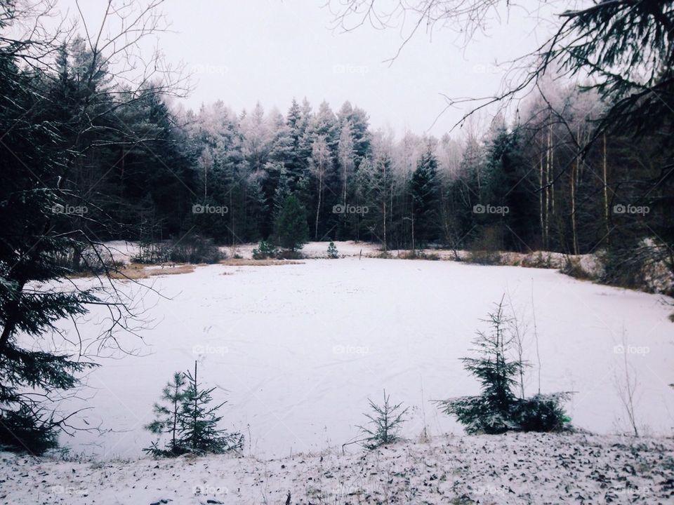 Frozen lake