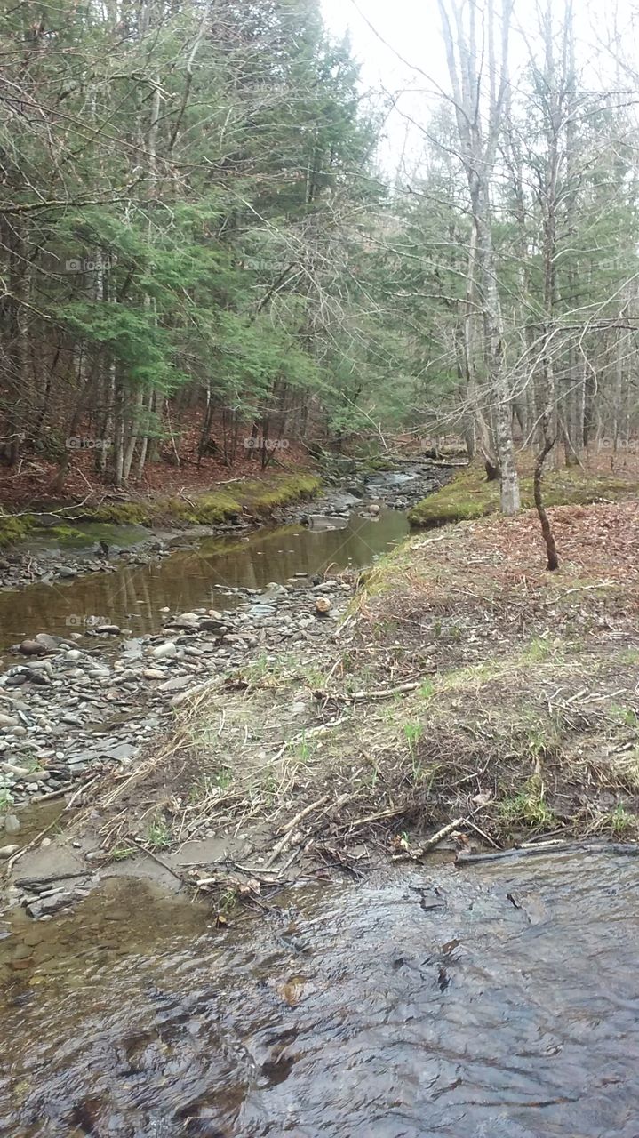 Split in the stream Montville, Maine