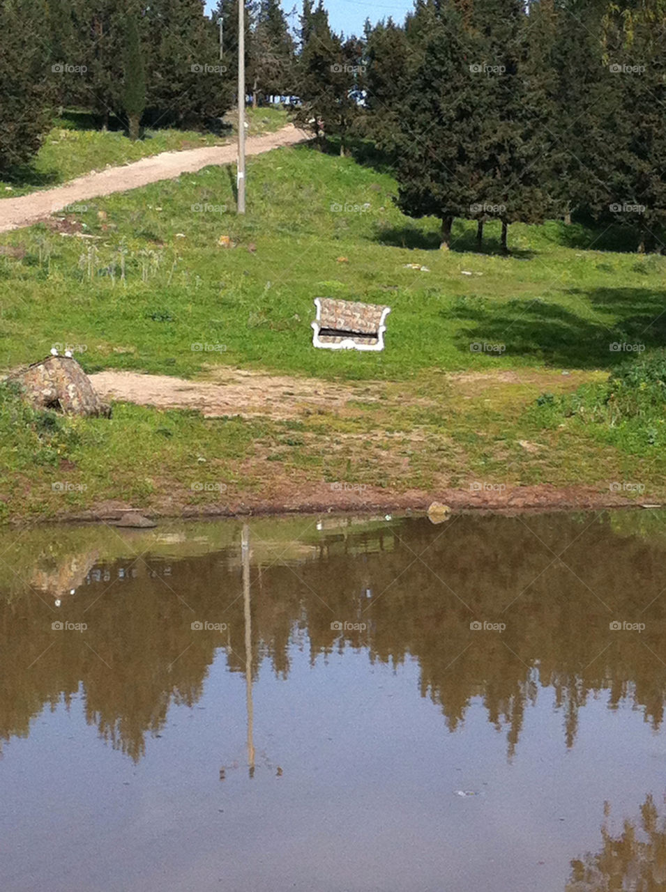 green light nature trees by barkai