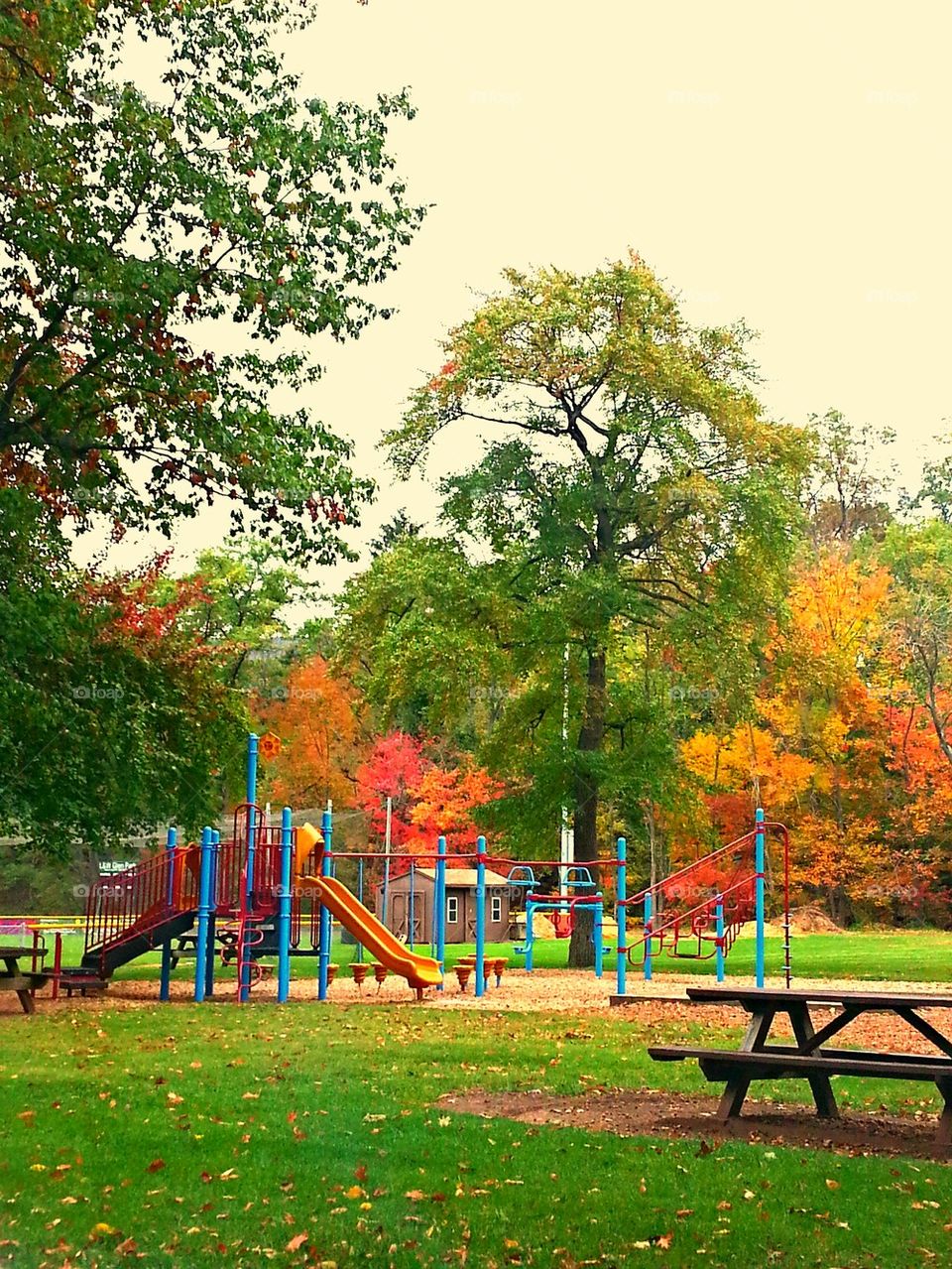 Park in Autumn