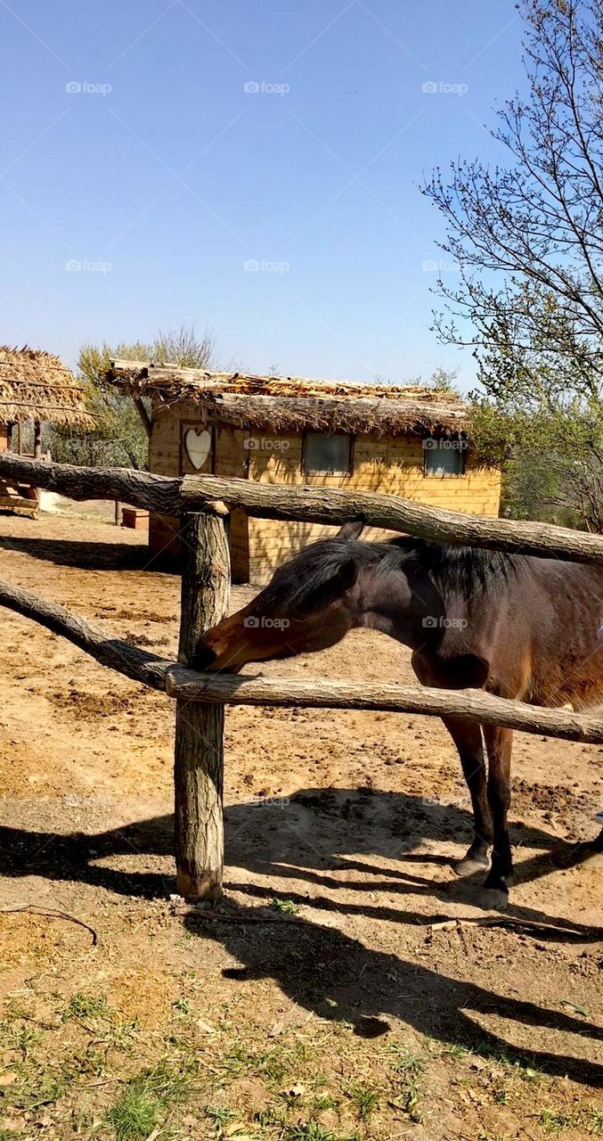 A secret in the shadows