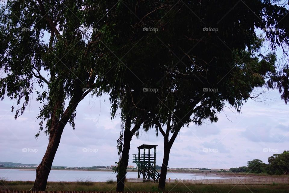 Nature#trees#view#lake