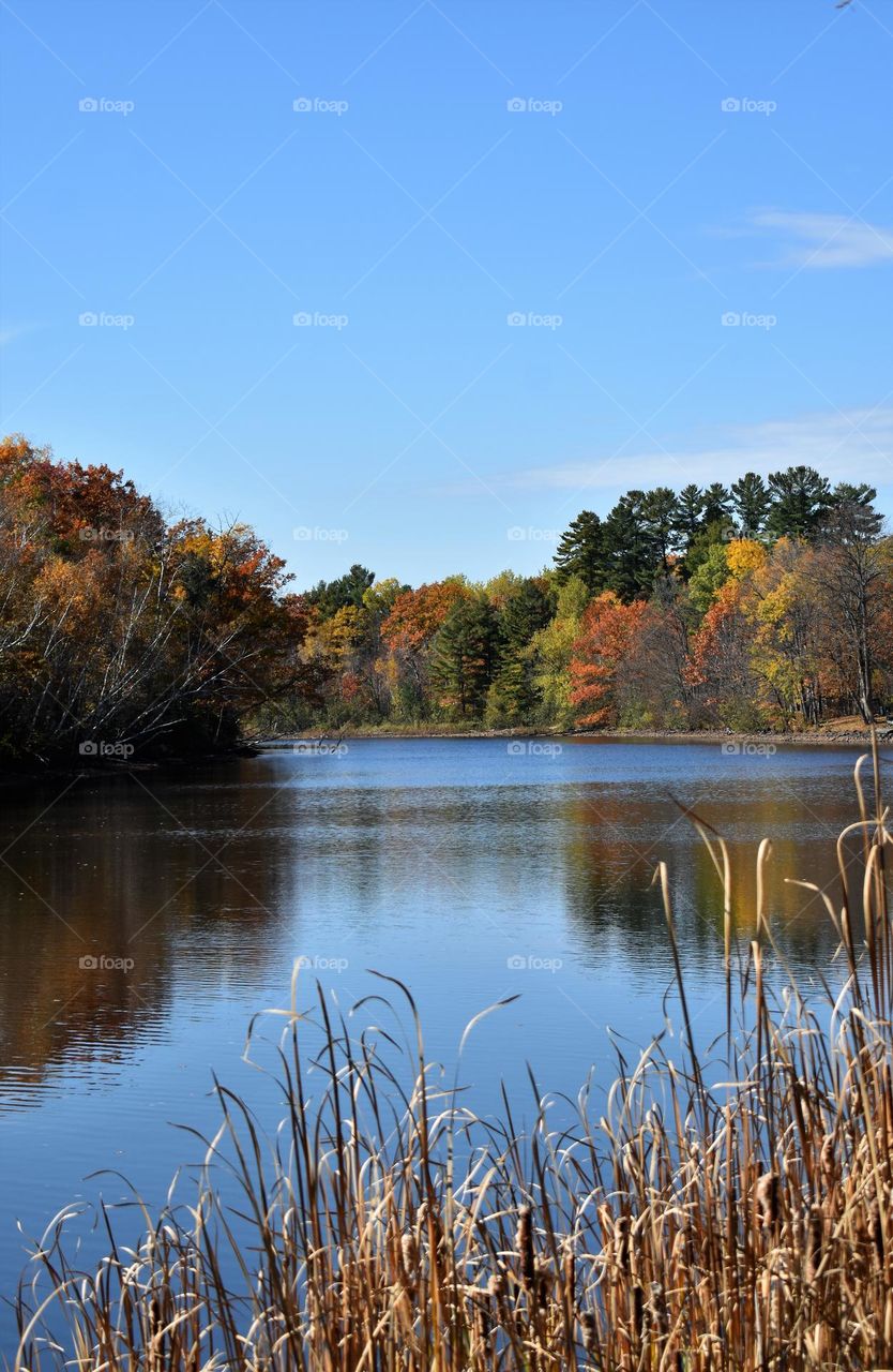 Best landscape of the year