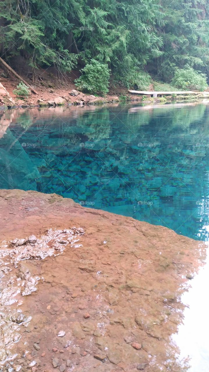 Tamolich Blue Pool