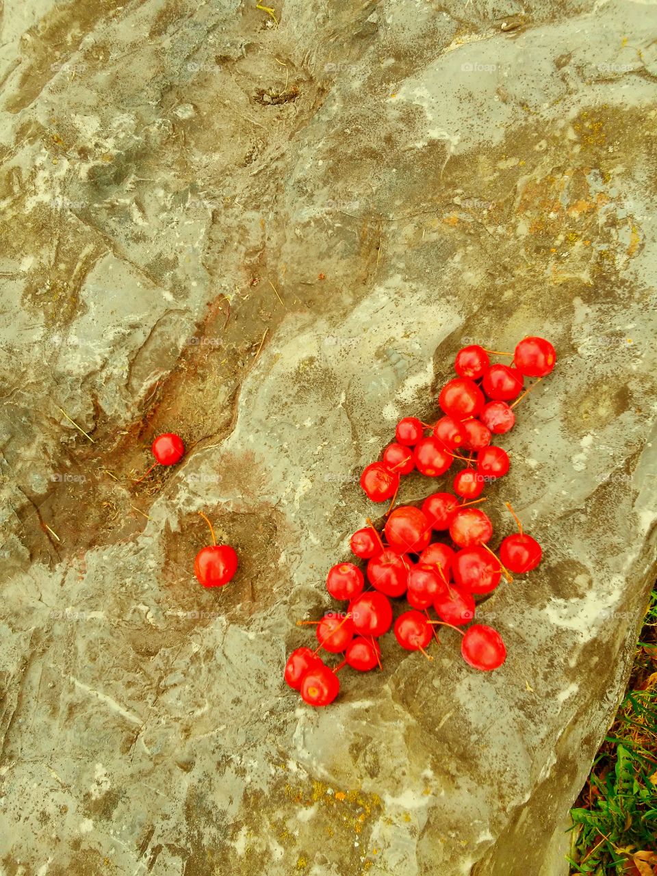 red on stone