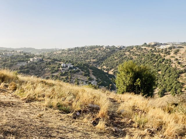 Amman , Jordan