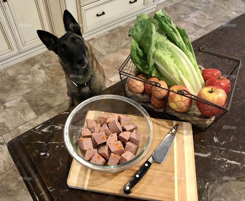 Freshpet select foods are fresh, healthy, and all natural. Dogs and cats love their freshpet select meals. Roasted chicken and vegetables. 