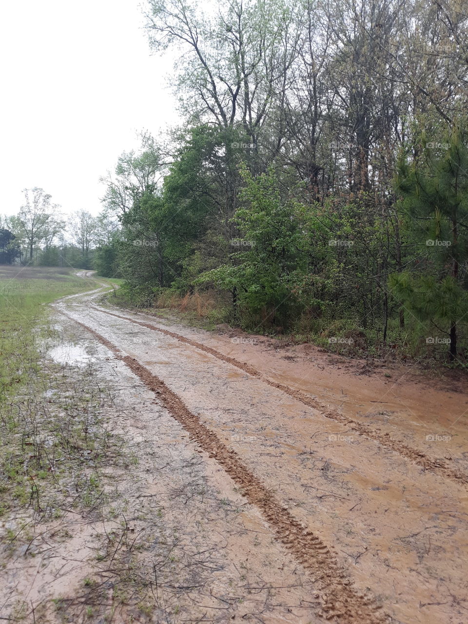 Muddy Gravel Road