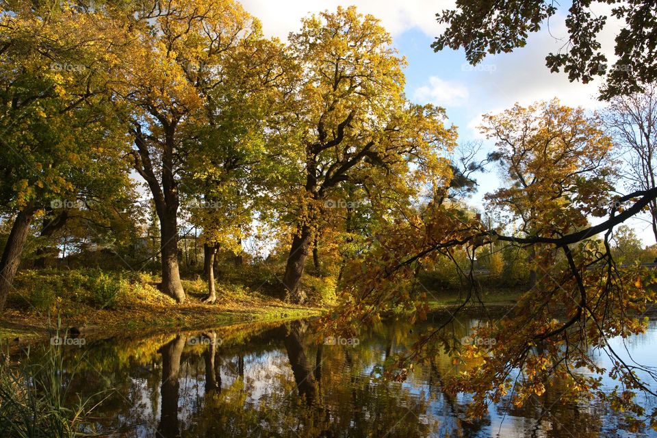 Autumn Park with pond