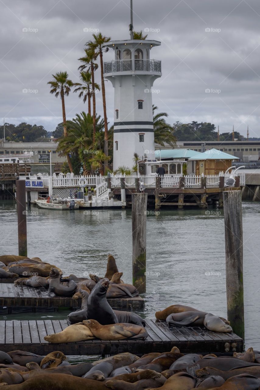 Water, No Person, Travel, Sea, Seashore