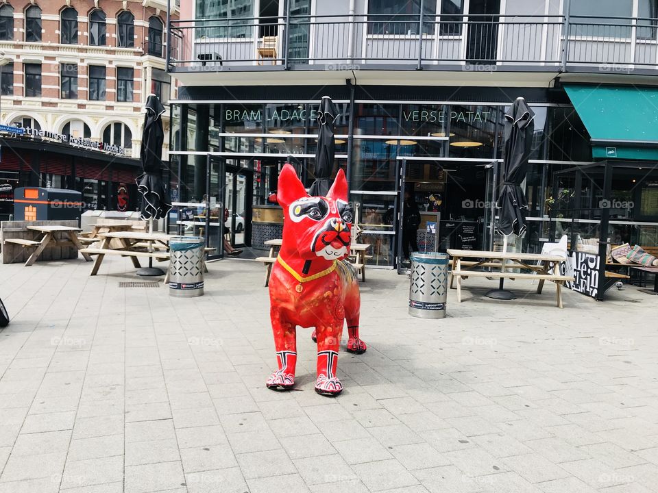 Another photo from my last trip to Rotterdam.