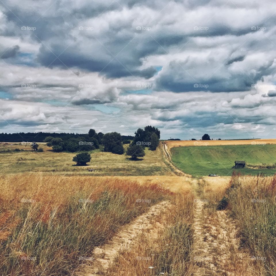 Clouds over the field