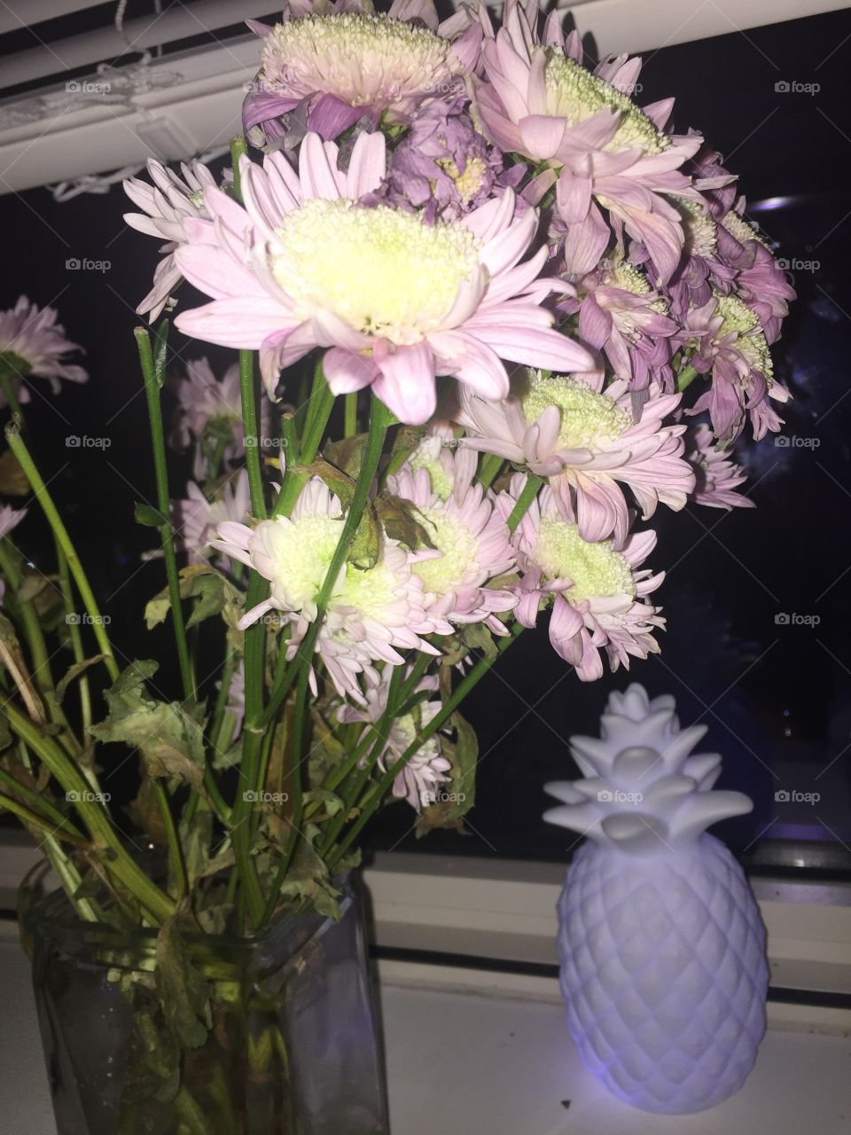 The flowers were an International Women’s day gift and the pinneapple in the background lights up! Dorm decorations at their finest!