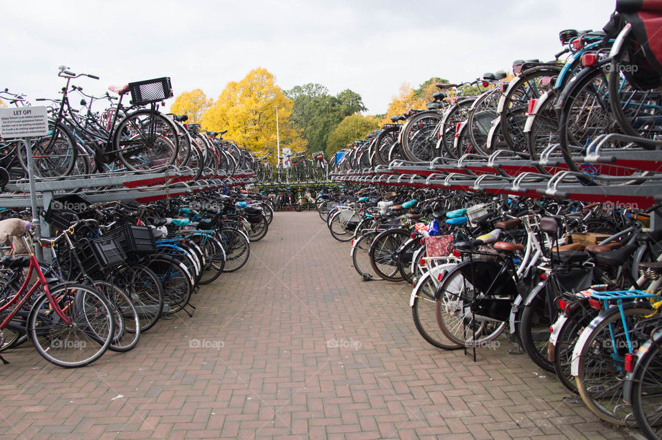 Bikes - Packed and Stacked