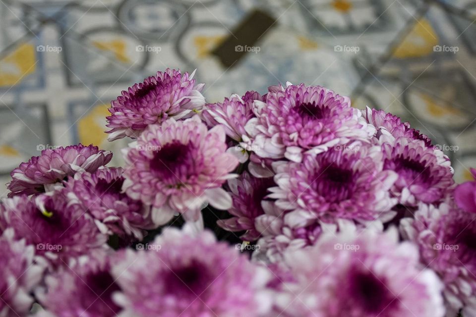 09. colorful flowers that inspire joy