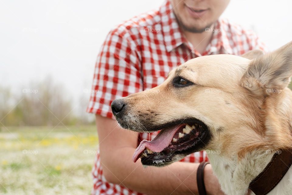 man and dog walking