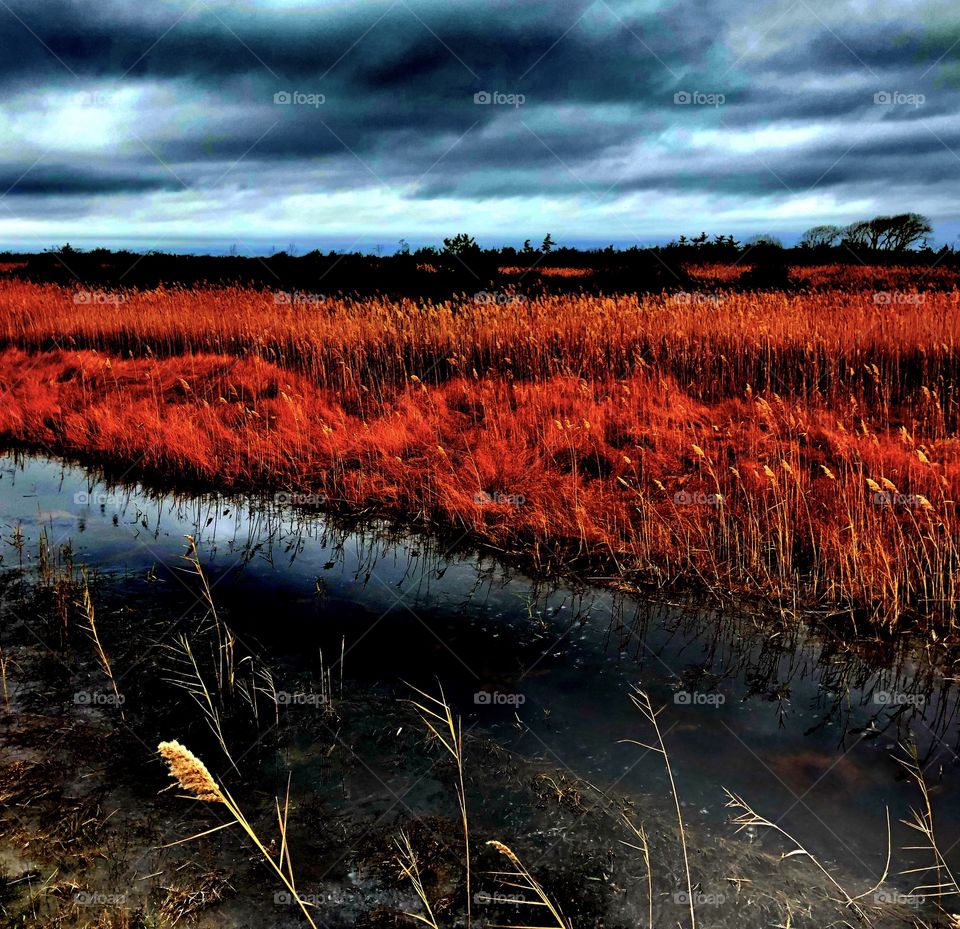 River In The Fields, Long Island Shore, Discover Outdoors, Natural Beauty, Tall Field Grasses