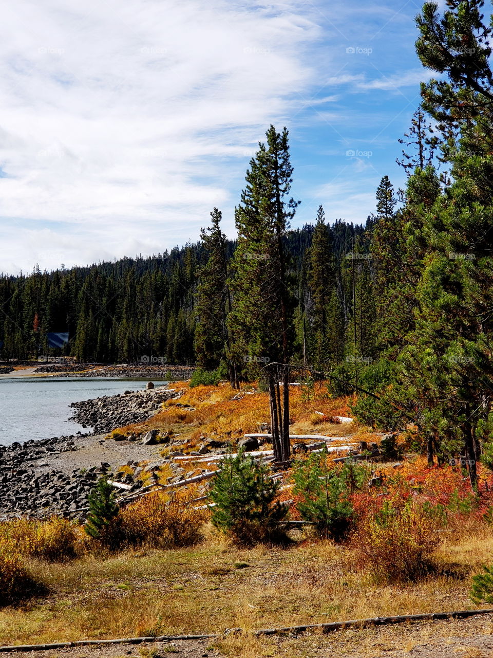 Brilliant fall colors of a landscape on the shores of Elk Lake in Oregon’s Cascade Mountains