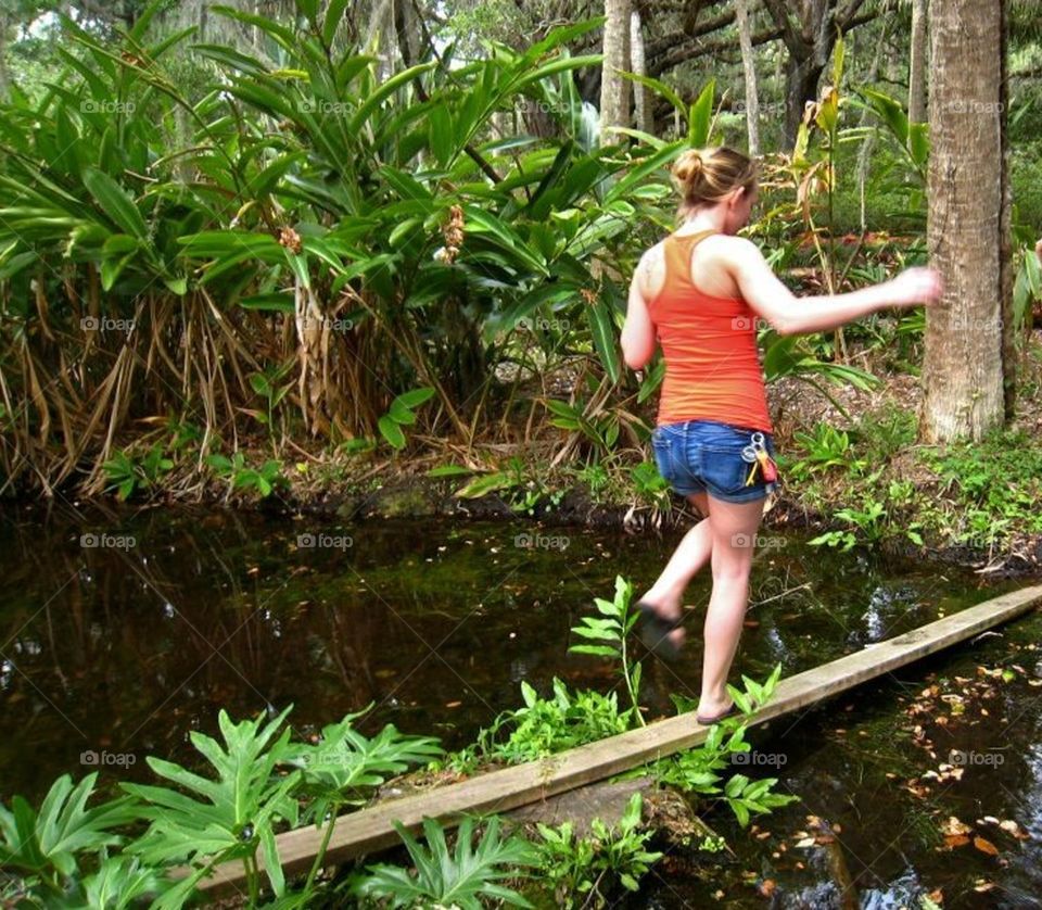 Exploring the Forest