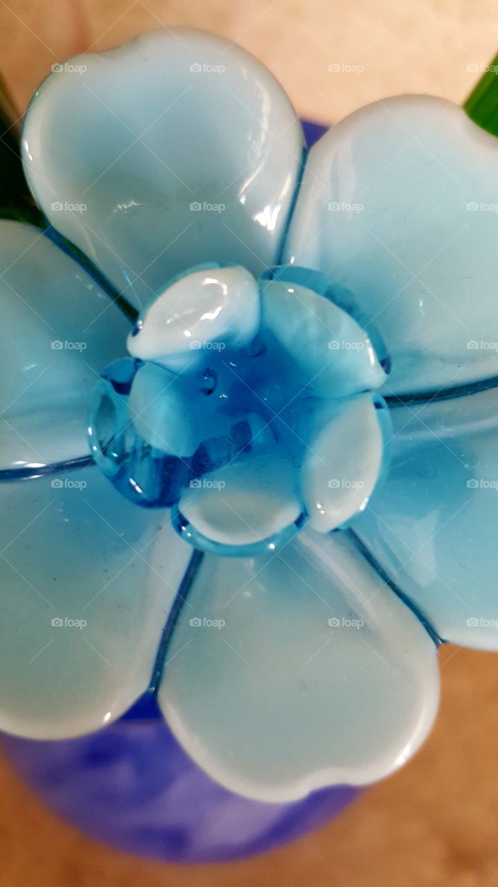 Beautiful macro shots