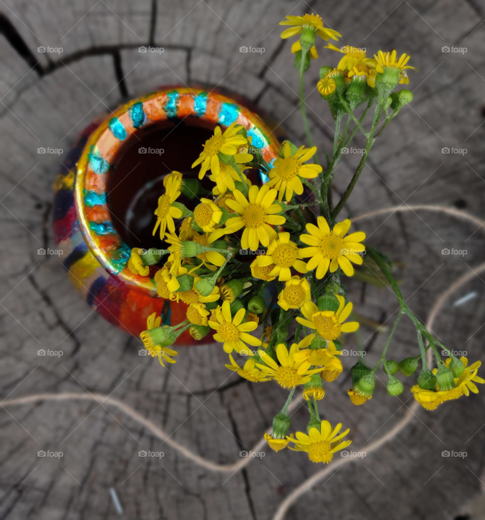 Flower pot from above